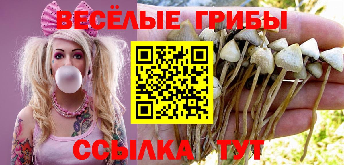 Галлюциногенные грибы Cubensis Гай