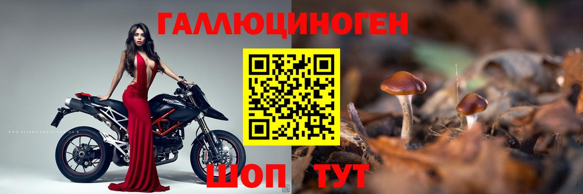 Галлюциногенные грибы мицелий  Галлюциногенные грибы Magic Shrooms  Гай  Вход с VPN 
